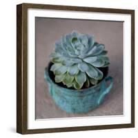 The Little Succulent-Susan Bryant-Framed Photographic Print