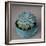 The Little Succulent-Susan Bryant-Framed Photographic Print