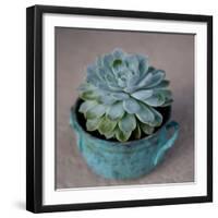 The Little Succulent-Susan Bryant-Framed Photographic Print