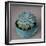 The Little Succulent-Susan Bryant-Framed Photographic Print