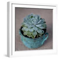 The Little Succulent-Susan Bryant-Framed Photographic Print