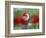 The little tulip-Heidi Westum-Framed Photographic Print