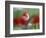 The little tulip-Heidi Westum-Framed Photographic Print