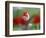 The little tulip-Heidi Westum-Framed Photographic Print