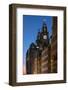 The Liver Building at night, Water Street, Liverpool-Alan Novelli-Framed Photographic Print