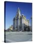 The Liver Building, Pier Head, Liverpool, Merseyside, England, UK-Christopher Nicholson-Stretched Canvas