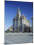 The Liver Building, Pier Head, Liverpool, Merseyside, England, UK-Christopher Nicholson-Mounted Photographic Print