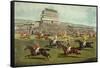 The Liverpool Grand National Steeplechase - Coming In, Published 1872-Charles Hunt and Son-Framed Stretched Canvas
