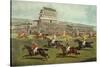 The Liverpool Grand National Steeplechase - Coming In, Published 1872-Charles Hunt and Son-Stretched Canvas