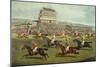 The Liverpool Grand National Steeplechase - Coming In, Published 1872-Charles Hunt and Son-Mounted Premium Giclee Print