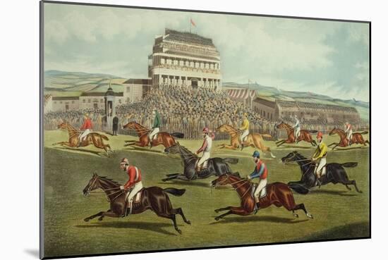 The Liverpool Grand National Steeplechase - Coming In, Published 1872-Charles Hunt and Son-Mounted Giclee Print