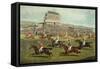 The Liverpool Grand National Steeplechase - Coming In, Published 1872-Charles Hunt and Son-Framed Stretched Canvas