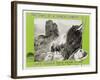 The Lives of a Bengal Lancer, 1935-null-Framed Art Print