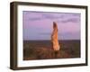 The Living Desert Sculptures, Broken Hill, New South Wales, Australia, Pacific-Jochen Schlenker-Framed Photographic Print