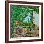 The Lizard's View, 2008-Noel Paine-Framed Giclee Print