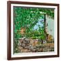 The Lizard's View, 2008-Noel Paine-Framed Giclee Print