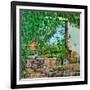 The Lizard's View, 2008-Noel Paine-Framed Giclee Print