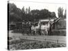 The Llama Ride - Once a Feature at Zsl London Zoo, September, 1923-Frederick William Bond-Stretched Canvas