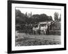 The Llama Ride - Once a Feature at Zsl London Zoo, September, 1923-Frederick William Bond-Framed Photographic Print