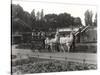 The Llama Ride - Once a Feature at Zsl London Zoo, September, 1923-Frederick William Bond-Stretched Canvas