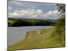 The Llys-Y-Fran Reservoir and Country Park, Pembrokeshire, Wales, United Kingdom-Rob Cousins-Mounted Photographic Print
