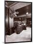 The Lobby and Registration Desk at the Park Avenue Hotel, 1901 or 1902-Byron Company-Mounted Giclee Print