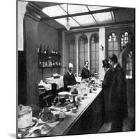 The Lobby Bar, House of Commons, Westminster, London, C1905-null-Mounted Giclee Print