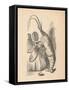 'The Lobster', 1889-John Tenniel-Framed Stretched Canvas