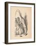 'The Lobster', 1889-John Tenniel-Framed Giclee Print