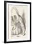 The Lobster at His Toilet-John Tenniel-Framed Photographic Print