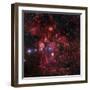 The Lobster Nebula in Scorpius-Stocktrek Images-Framed Photographic Print