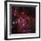 The Lobster Nebula in Scorpius-Stocktrek Images-Framed Photographic Print