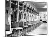 The Locker Room of the Brooklyn Dodgers-null-Mounted Premium Photographic Print