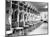 The Locker Room of the Brooklyn Dodgers-null-Mounted Photographic Print