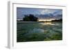 The Loire River Near the Village of La Chapelle Sur Loire, Loire Valley, UNESCO World Heritage Site-Nathalie Cuvelier-Framed Photographic Print