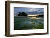 The Loire River Near the Village of La Chapelle Sur Loire, Loire Valley, UNESCO World Heritage Site-Nathalie Cuvelier-Framed Photographic Print