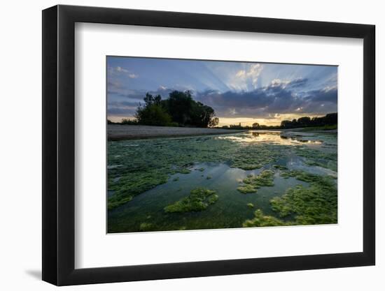 The Loire River Near the Village of La Chapelle Sur Loire, Loire Valley, UNESCO World Heritage Site-Nathalie Cuvelier-Framed Photographic Print