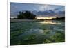 The Loire River Near the Village of La Chapelle Sur Loire, Loire Valley, UNESCO World Heritage Site-Nathalie Cuvelier-Framed Photographic Print