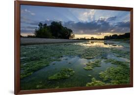 The Loire River Near the Village of La Chapelle Sur Loire, Loire Valley, UNESCO World Heritage Site-Nathalie Cuvelier-Framed Photographic Print