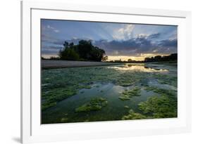 The Loire River Near the Village of La Chapelle Sur Loire, Loire Valley, UNESCO World Heritage Site-Nathalie Cuvelier-Framed Photographic Print