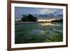 The Loire River Near the Village of La Chapelle Sur Loire, Loire Valley, UNESCO World Heritage Site-Nathalie Cuvelier-Framed Photographic Print