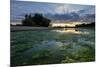 The Loire River Near the Village of La Chapelle Sur Loire, Loire Valley, UNESCO World Heritage Site-Nathalie Cuvelier-Mounted Photographic Print