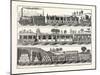 The London and Birmingham Railway Carriages-null-Mounted Giclee Print