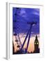 The London Eye and Big Ben, London, England, United Kingdom, Europe-Neil Farrin-Framed Photographic Print