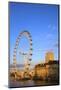 The London Eye, London, England, United Kingdom, Europe-Neil Farrin-Mounted Photographic Print