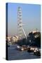 The London Eye, London-Peter Thompson-Stretched Canvas