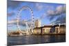 The London Eye, London-Peter Thompson-Mounted Photographic Print