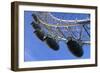 The London Eye, London-Peter Thompson-Framed Photographic Print