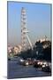 The London Eye, London-Peter Thompson-Mounted Photographic Print