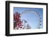 The London Eye on a Bright Sunny Day, London, England, United Kingdom, Europe-Charlie Harding-Framed Photographic Print